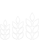 Chalk-GrowingtheBrand_130x188